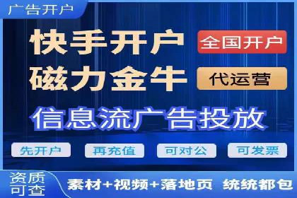 某公司通过百度竞价实现业务快速增长的案例